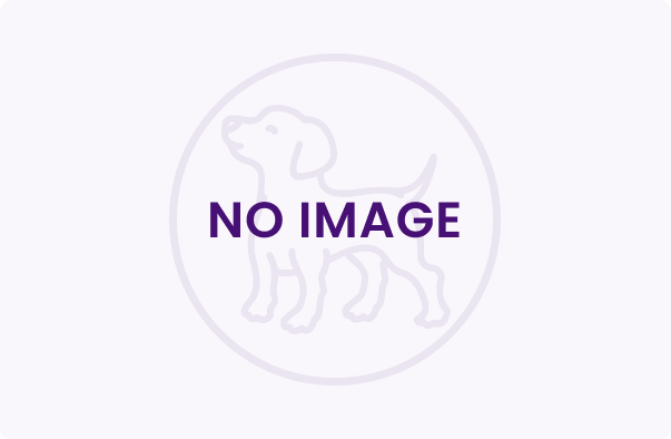 no-image